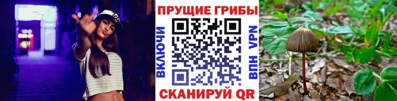 Псилоцибиновые грибы ЛСД  Купить где  Кирс 